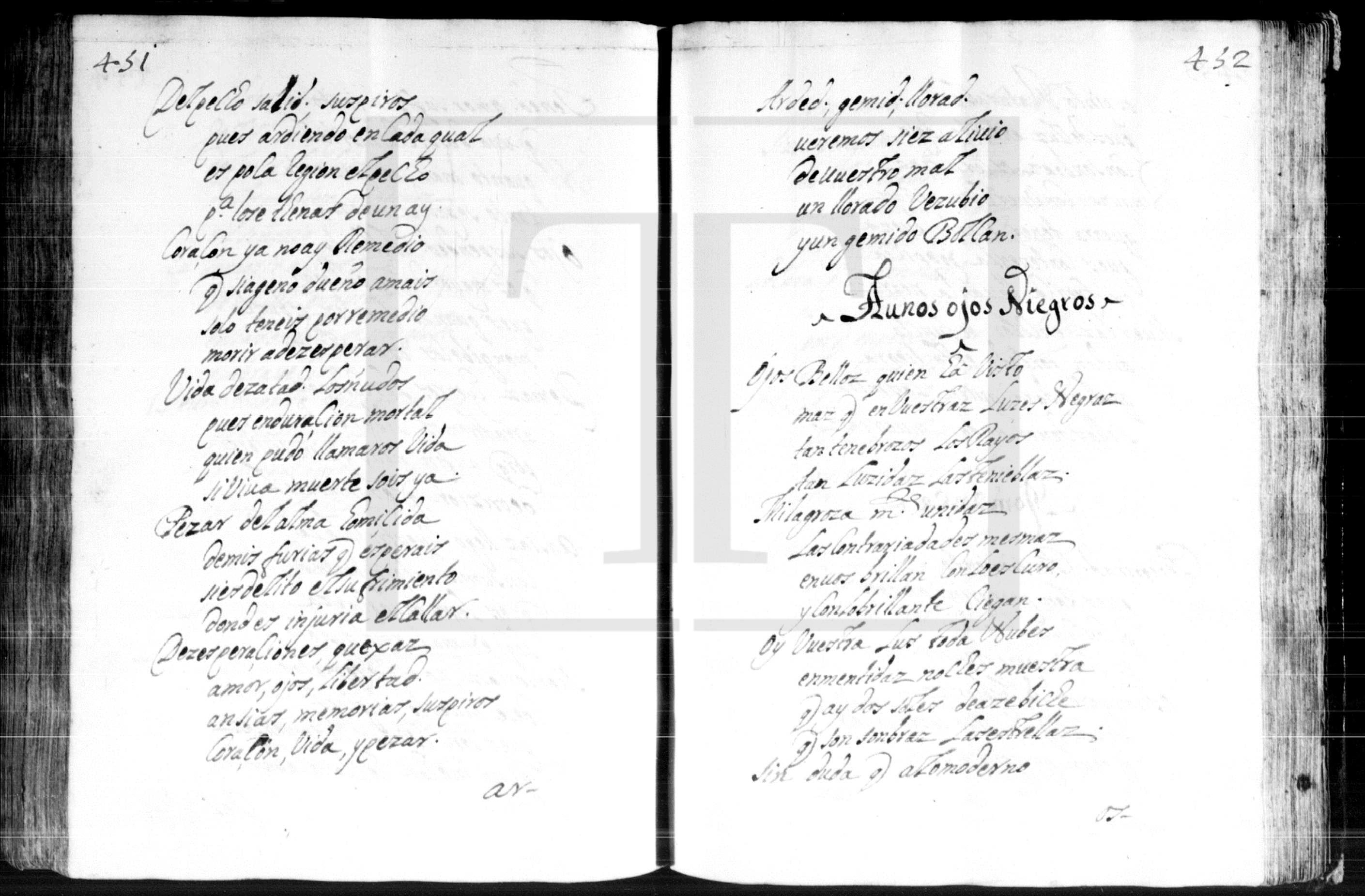 Páginas 451-452 del manuscrito P-Lant PT/TT/MSLIV/1726